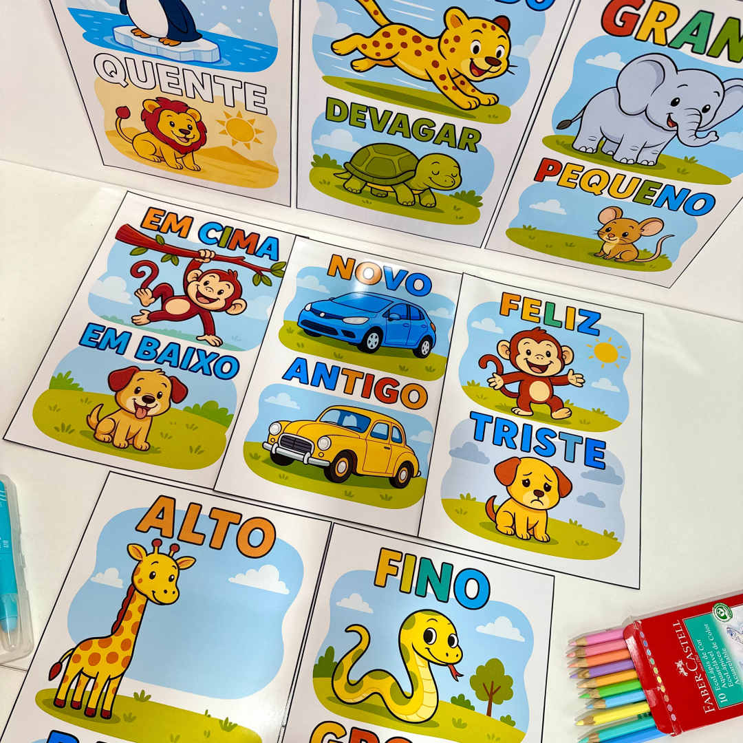 Fichas Conceitos Educação Infantil